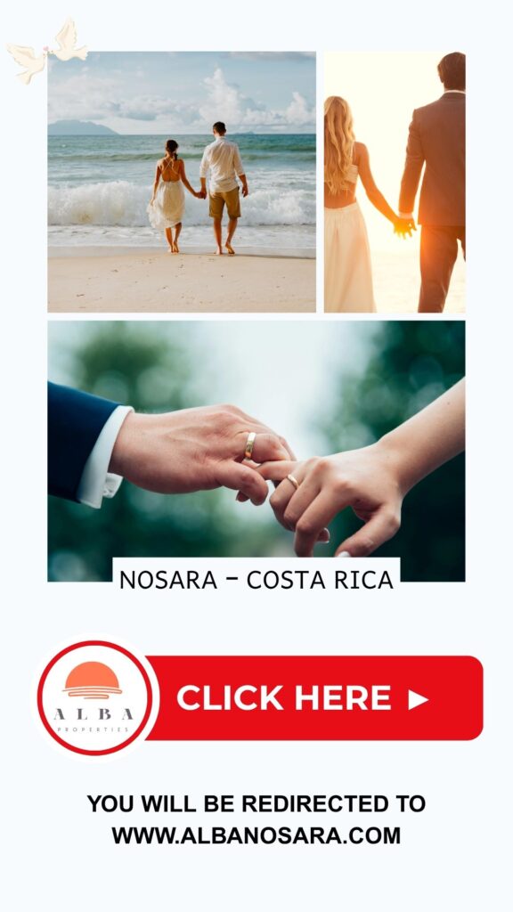 Banner to alba nosara property management
